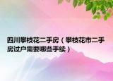 四川攀枝花二手房（攀枝花市二手房過戶需要哪些手續(xù)）