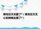 御龍在天關(guān)服了?（御龍在天無心和神候去哪了?）