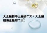 天王星和海王星哪個大（天王星和海王星哪個大）