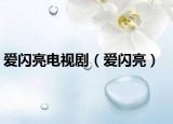 愛閃亮電視?。◥坶W亮）