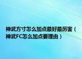 神武方寸怎么加點(diǎn)最好最厲害（神武FC怎么加點(diǎn)要理由）