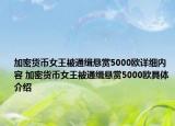 加密貨幣女王被通緝懸賞5000歐詳細內(nèi)容 加密貨幣女王被通緝懸賞5000歐具體介紹