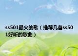 ss501最火的歌（推薦幾首ss501好聽的歌曲）