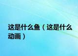 這是什么魚（這是什么動畫）