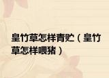 皇竹草怎樣青貯（皇竹草怎樣喂豬）