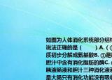 如圖為人體消化系統(tǒng)部分結(jié)構(gòu)示意圖有關(guān)說法正確的是（　　）A.（③是胃能將蛋白質(zhì)初步分解成氨基酸B. ①是肝臟它分泌的膽汁中含有消化脂肪的酶C. ⑤是小腸內(nèi)有胰液腸液和膽汁三種消化液利于消化D. ②是大腸只有消化功能沒有吸收功能