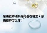 東南菱帥油泵繼電器在哪里（東南菱帥怎么樣）