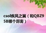 csol疾風(fēng)之翼（和QBZ95B哪個(gè)厲害）