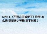 DNF（《不滅之王波羅丁》稱號 怎么來 需要多少等級 高手指教）