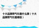 十大品牌燃?xì)庠钍鞘裁磁疲ㄊ笃放迫細(xì)庠钍悄男? /></span></a>
                        <h2><a href=