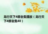 龍行天下4部全集播放（龍行天下4部全集40）