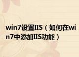 win7設置IIS（如何在win7中添加IIS功能）