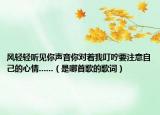 風輕輕聽見你聲音你對著我叮嚀要注意自己的心情......（是哪首歌的歌詞）