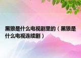 黑狼是什么電視劇里的（黑狼是什么電視連續(xù)?。? /></span></a>
                        <h2><a href=