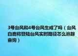 3號臺風(fēng)和4號臺風(fēng)生成了嗎（臺風(fēng)白鹿將登陸臺風(fēng)實時路徑怎么追蹤查詢）