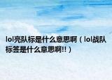 lol亮隊(duì)標(biāo)是什么意思?。╨ol戰(zhàn)隊(duì)標(biāo)簽是什么意思啊!!）