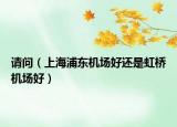 請(qǐng)問(wèn)（上海浦東機(jī)場(chǎng)好還是虹橋機(jī)場(chǎng)好）