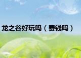 龍之谷好玩嗎（費(fèi)錢(qián)嗎）