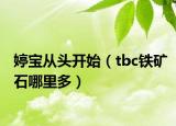 婷寶從頭開始（tbc鐵礦石哪里多）