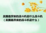 美國最厲害的戰(zhàn)斗機是什么戰(zhàn)斗機（美國最厲害的戰(zhàn)斗機是什么）