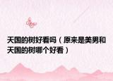天國的樹好看嗎（原來是美男和天國的樹哪個(gè)好看）