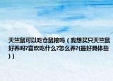 天竺鼠可以吃倉鼠糧嗎（我想買只天竺鼠好養(yǎng)嗎?喜歡吃什么?怎么養(yǎng)?(最好具體些)）