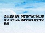 當日最新消息 農村合作醫(yī)療網(wǎng)上繳費怎么交 可以通過微信或者支付寶繳費