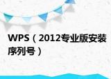WPS（2012專業(yè)版安裝序列號）