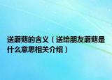 送蘑菇的含義（送給朋友蘑菇是什么意思相關(guān)介紹）