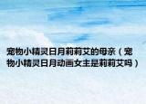 寵物小精靈日月莉莉艾的母親（寵物小精靈日月動(dòng)畫女主是莉莉艾嗎）