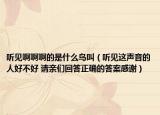 聽見啊啊啊的是什么鳥叫（聽見這聲音的人好不好 請親們回答正確的答案感謝）