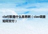 cia付款是什么意思?。╟iao調(diào)查如何支付）