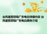 臺風暹芭登陸廣東電白詳細內(nèi)容 臺風暹芭登陸廣東電白具體介紹