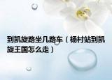 到凱旋路坐幾路車（楊村站到凱旋王國怎么走）
