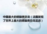 中國(guó)最大的蜥腳類恐龍（法國(guó)發(fā)現(xiàn)了世界上最大的蜥腳類恐龍足跡）