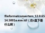 fileformatconverters_12.0.6514.5001a.exe.tdl（在c盤下是什么?。? /></span></a>
                        <h2><a href=