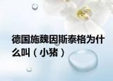 德國施魏因斯泰格為什么叫（小豬）