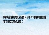 鶻鷹戰(zhàn)機(jī)怎么讀（殲31鶻鷹的鶻字到底怎么讀）