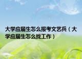 大學應屆生怎么報考文藝兵（大學應屆生怎么找工作）