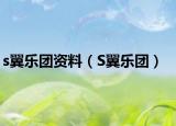 s翼樂團資料（S翼樂團）