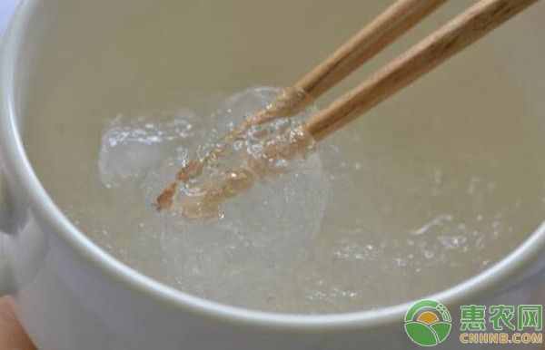 燕窩是哪里的好？燕窩是怎么形成的？
