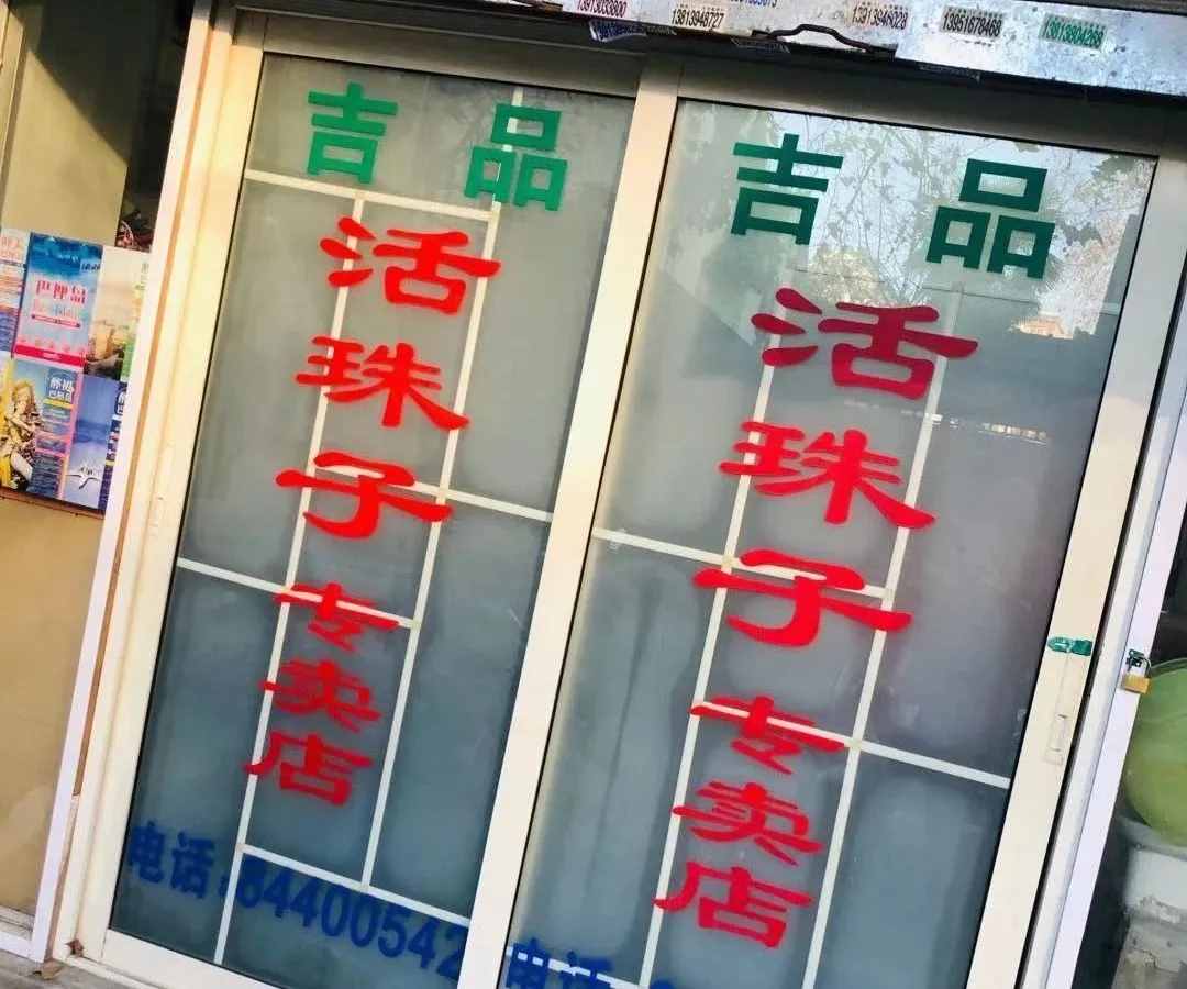 在南京嘗了一口活珠子，差點(diǎn)就想重新投胎