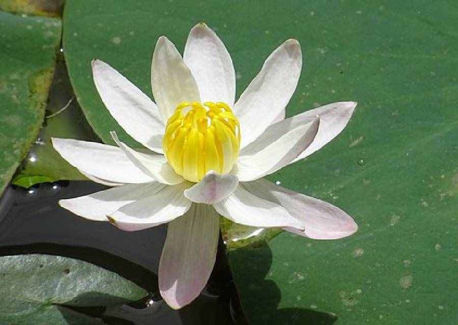 適合做簽名的優(yōu)質(zhì)句子，經(jīng)典至極，句句走心