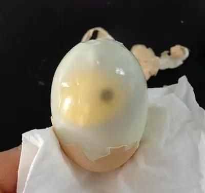 毛雞蛋的真相原來是這樣！以后再也不敢直視毛雞蛋了！