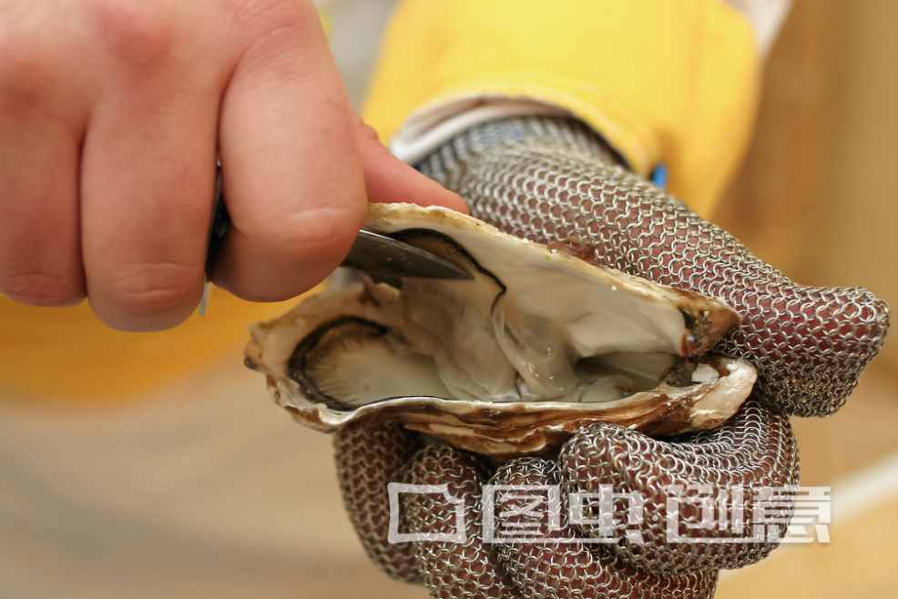 生蠔開(kāi)殼易傷手，教你快速開(kāi)生蠔，一捏即開(kāi)不傷手