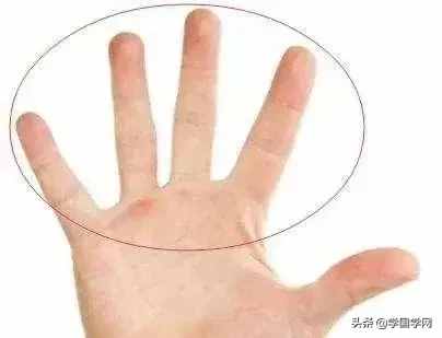 手指“算命”：五指長短看你事業(yè)發(fā)展運(yùn)勢