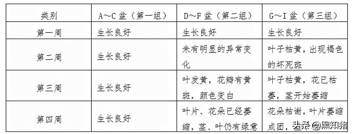 二氧化硫?qū)χ参锏奈：?，實驗證實結(jié)果，如今治理已顯成效