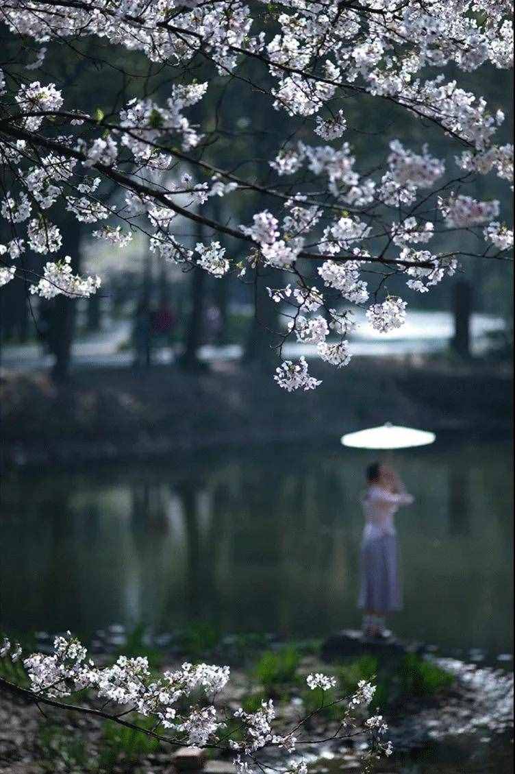 “三月三”，一個富有浪漫情調(diào)的節(jié)日
