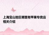 上海寶山地區(qū)哪里有蘋果專賣店相關介紹