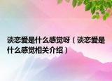 談戀愛是什么感覺呀（談戀愛是什么感覺相關(guān)介紹）